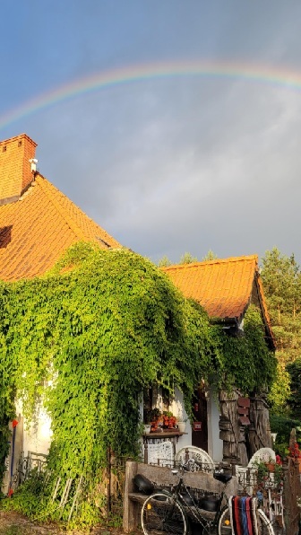 Rolka Instagram, życie w siedlisku Konradówka