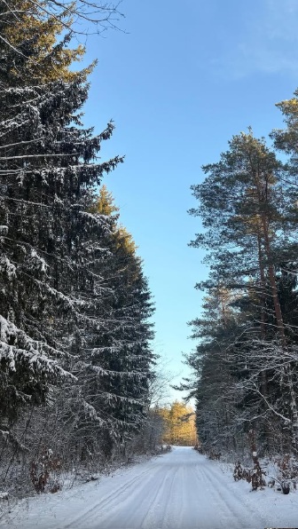 Rolka Instagram, okolice i przyroda Mazur