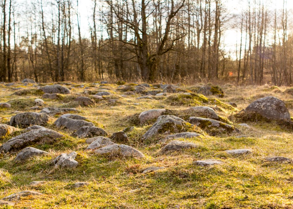 Głazowiska: Bachanowo i Rutka