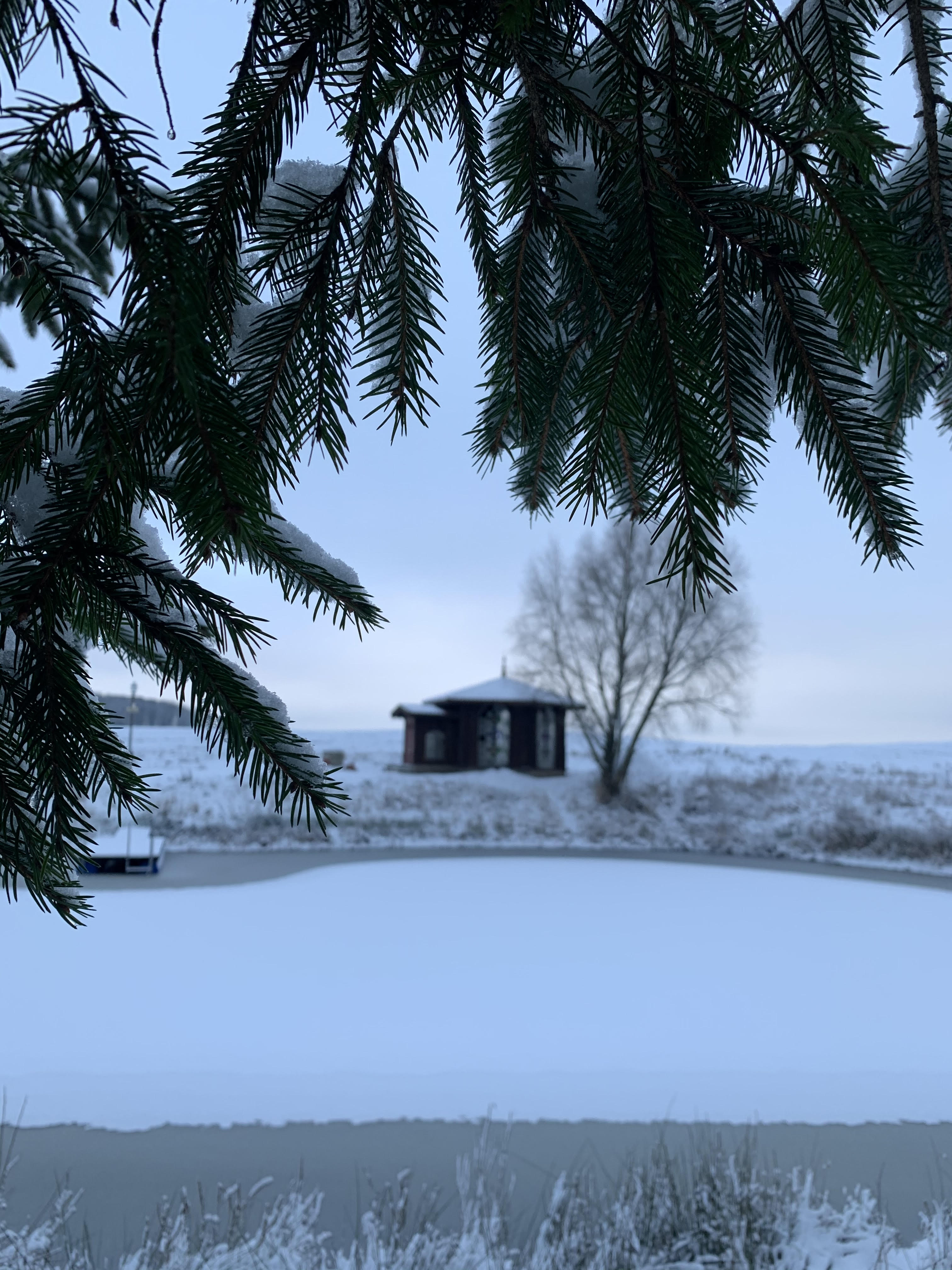 Staw przy siedlisku