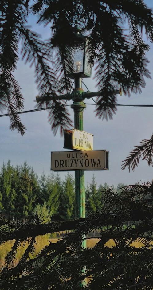 Staw przy siedlisku