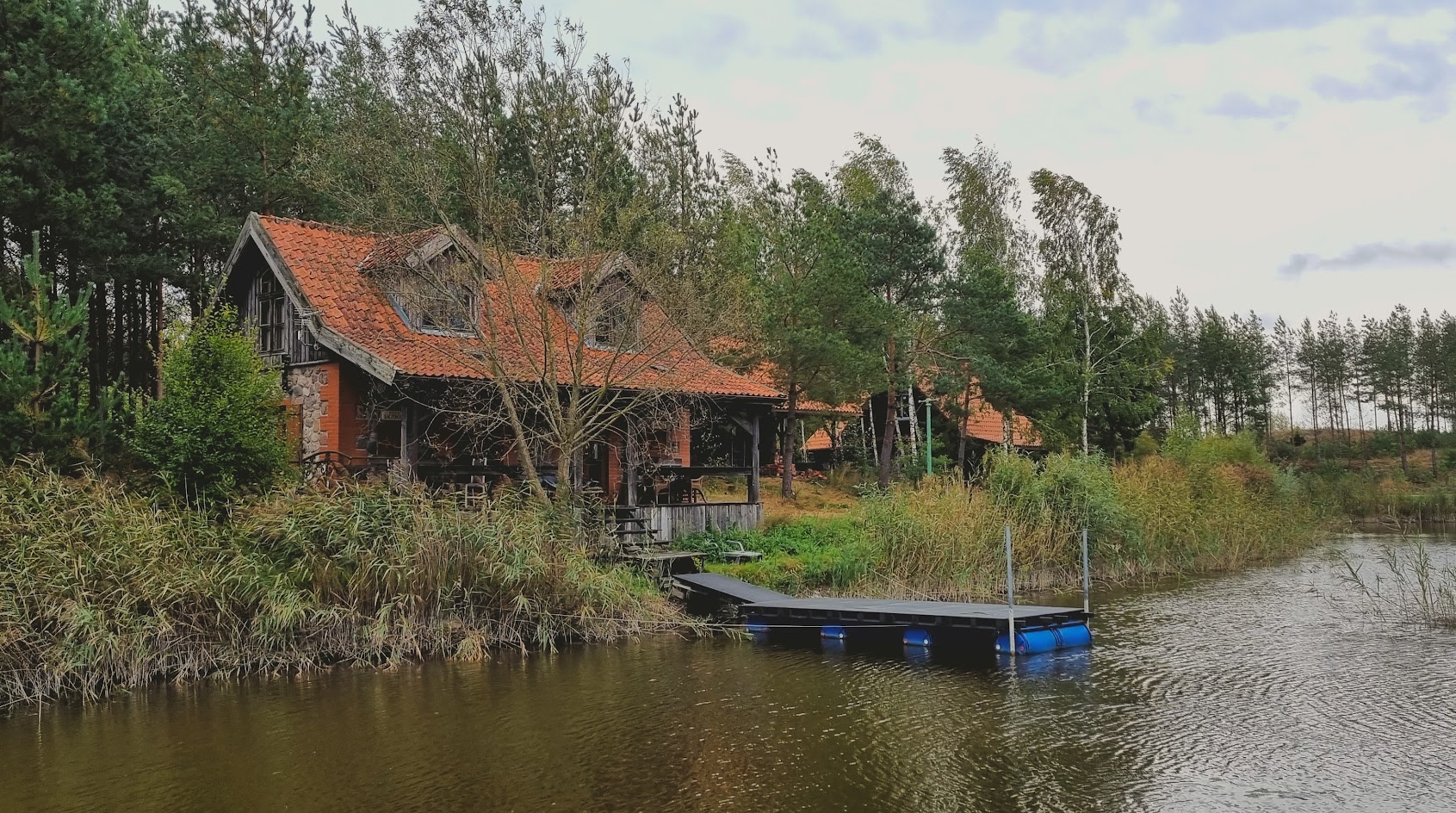 Staw przy siedlisku