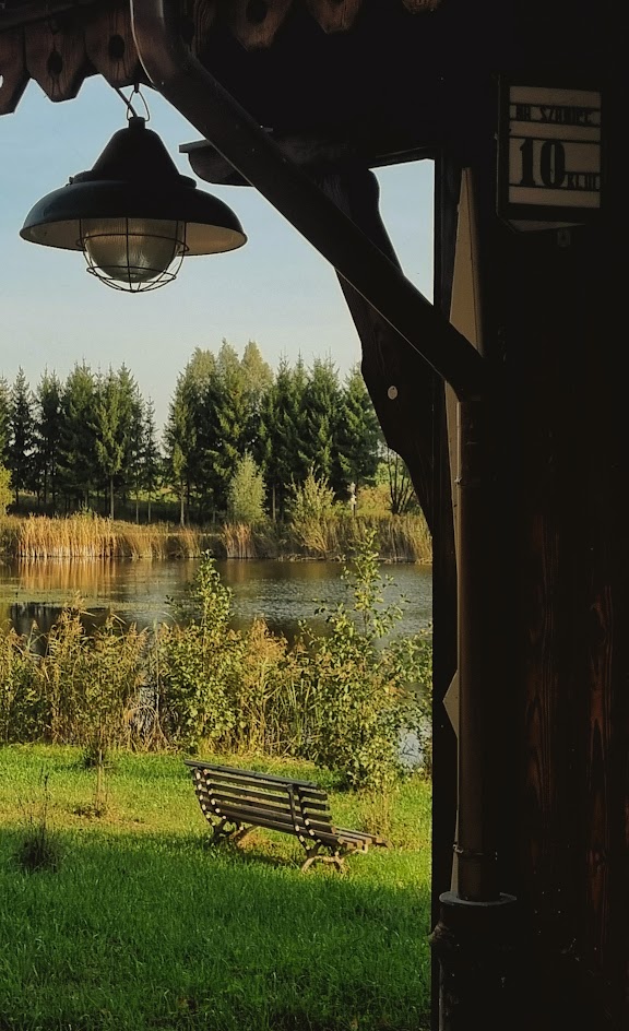 Staw przy siedlisku
