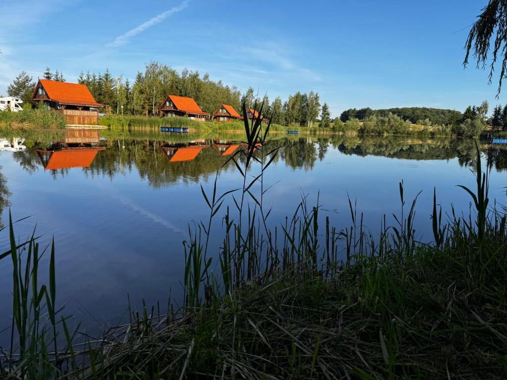 Widok 1